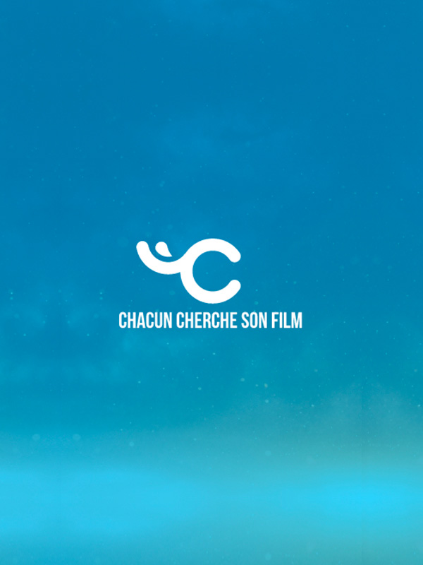 Logo de la société CFDC 500